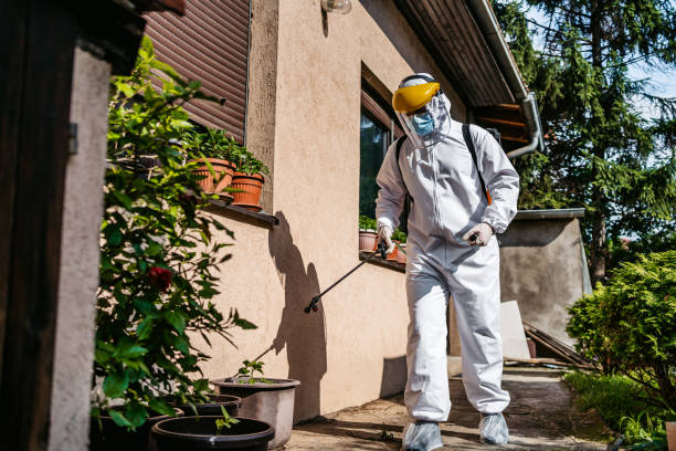 Professional Pest Control in Calcium, NY