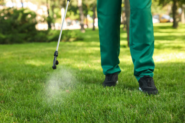 Best Wildlife Control Services  in Calcium, NY