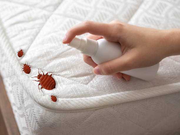 Best Pest Prevention Services  in Calcium, NY